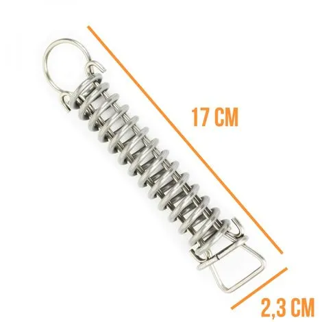 Lot De 5 Ressorts Dynamométriques - Linxor - Gris 2 Lot De 5 Ressorts Dynamométriques - Linxor - Gris – Image 2