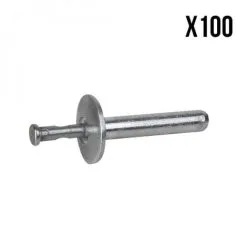 Lot De 100 Rivets De Fixation En Inox 4.8 X 25 Mm - Linxor - Gris